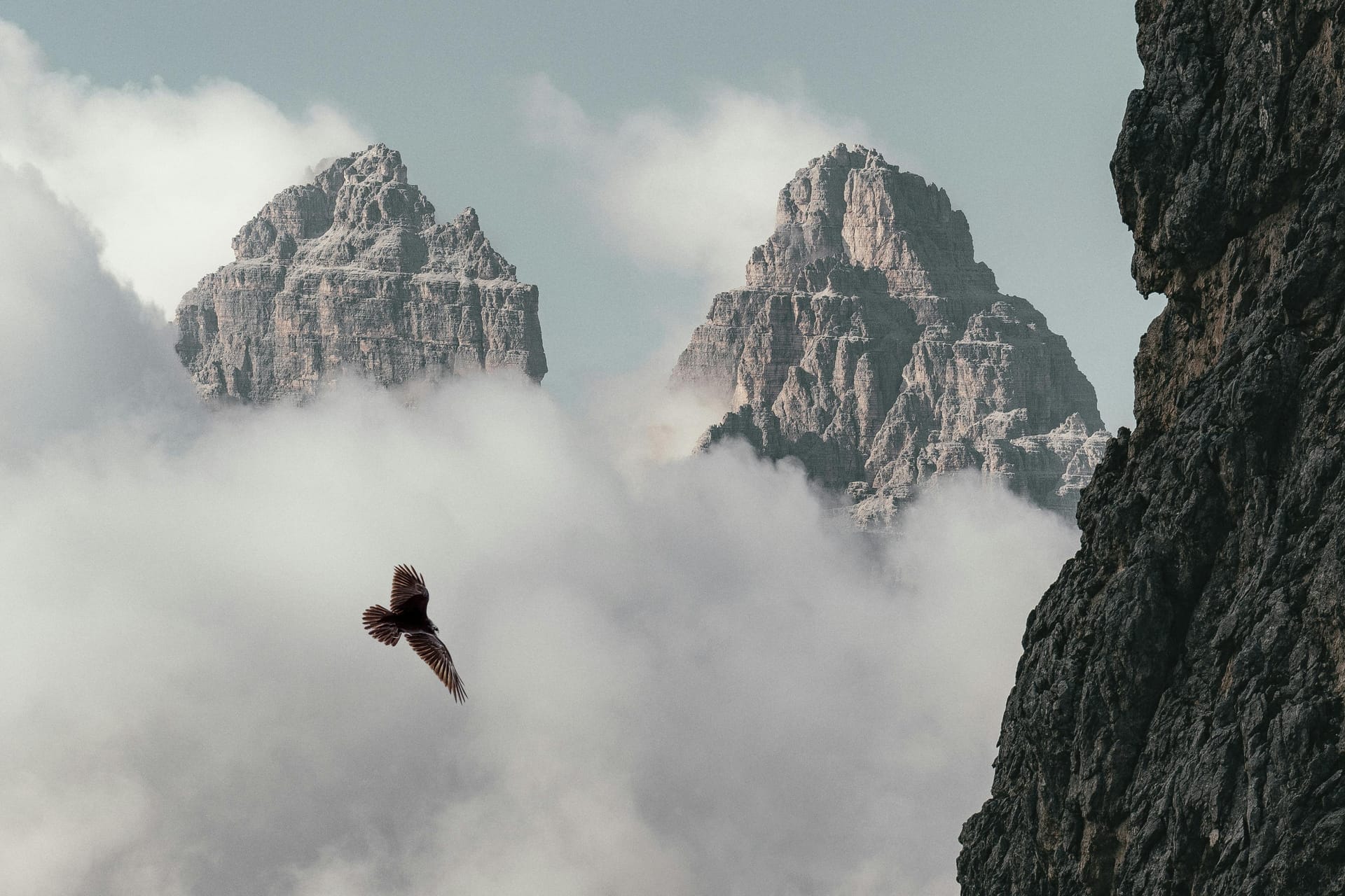 The Evolution of Digital Storytelling